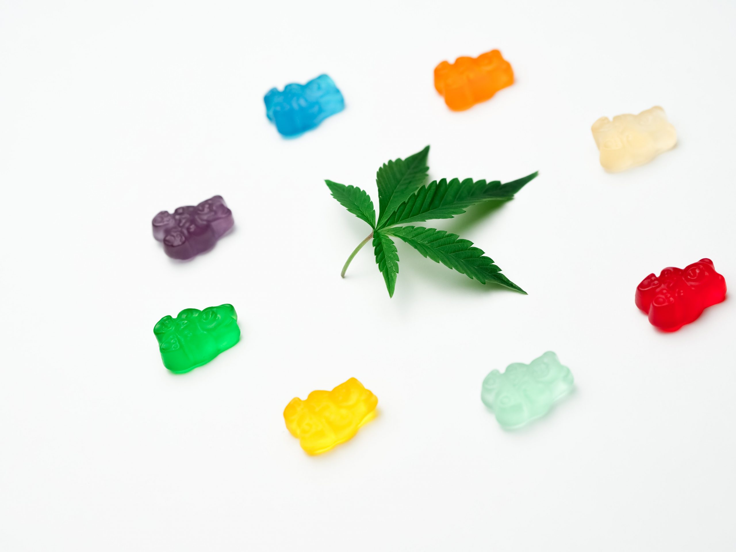 Teile der Cannabispflanze